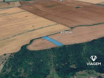 Pole 4 770 m², Podíl 25 % o výměře 1 193 m²