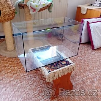 Terarium - 1