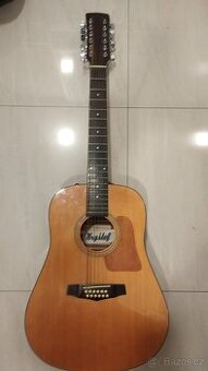 Dvanáctistrunná kytara