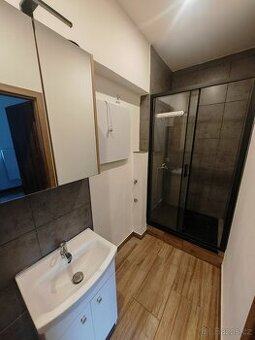 Pronájem bytu 1+1 42m2 Rybáře - 1