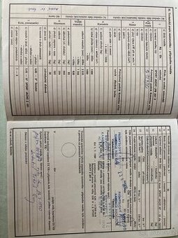 Přívěsný vozik za auto Sport Jacht LPB 207 P