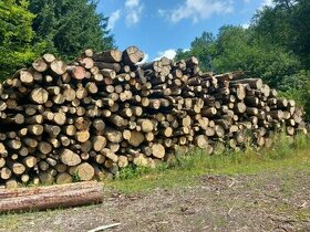 Palivové dřevo tvrdé Litoměřice
