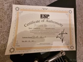 ESP Snakebyte signature original by James Hetfield - BLACK