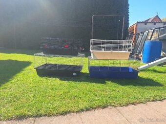 Klece, klec, hlodavci, kralík, morče