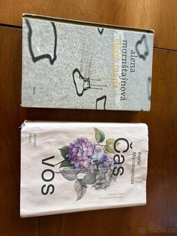 Alena Mornštajnová Čas vos a Slepá mapa