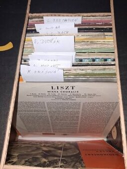 Prodám gramofonové desky a albumy.