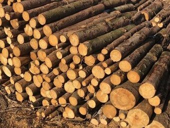 Palivové dříví za cenu 1090,-kč z dopravou zdarma