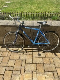 Kolo Author Classic SX