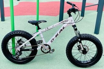 MTB Dirt Fatbike D-Kal 20”