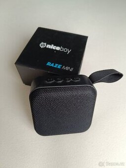 NiceBoy raze mini