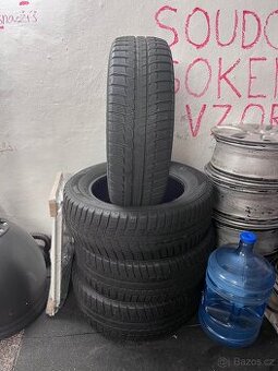 zimní pneumatiky eurowinter R17 225/60