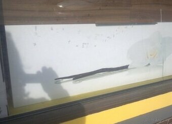 Koupelnová skříňka pod dvojumyvadlo š 120cm-nová