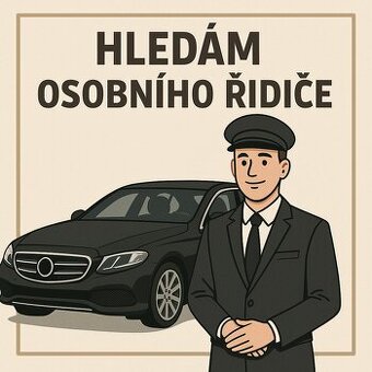 Narazova brigada - osobni ridic/ka