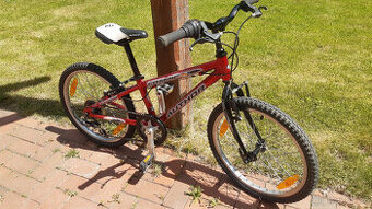 Author Cosmic 20"