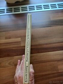 Arnošt Lustig - Modlitba pro Kateřinu Horovitzovou