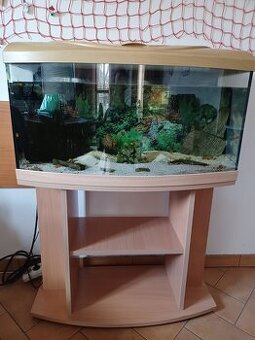 Akvárium s filtrací a příslušenstvím Diversa 80, 112l
