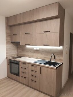 Pronájem bytu 1+kk v Chodově