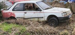Peugeot 309 - 1