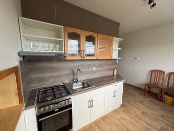Pronájem bytu 3+1, Gen. Svobody