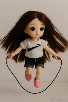 Panenky s 13 pohyblivými klouby různé druhy