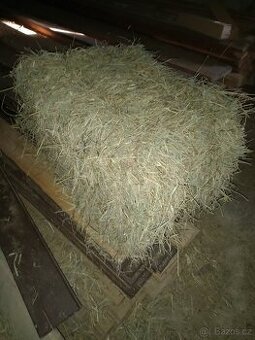 Seno - malé balíky