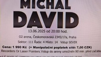 Michal David - 13.6.2025