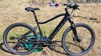 Crussis ONE Cross 7.6