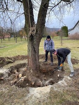 Kaceni rezani stromu, seceni travy a krovin