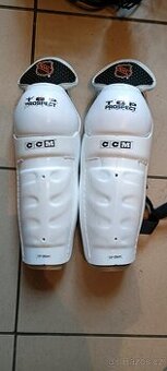 Holeně CCM-10