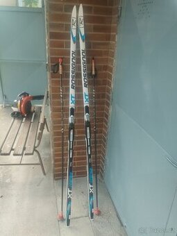 Prodám běžky 205 cm