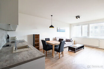 Pronájem bytu 2kk 55m2 - 1