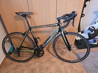 Silniční kolo Author Aura 33, vel. 54