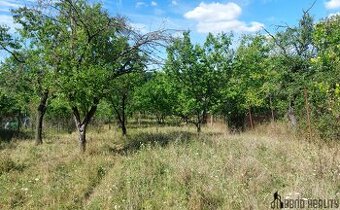 Prodej zahradních pozemků, Brněnské Ivanovice