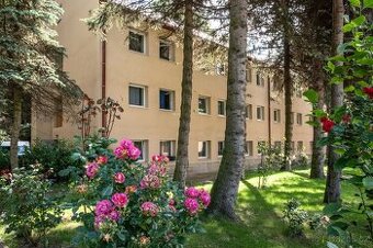 pokoj na opravené ubytovně  Litvínov Šumná
