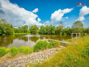 Prodej rybníku s pozemky, 8010 m², Mitrovice - Mezno. - 1