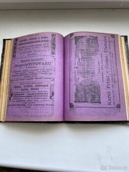 1903 - Průvodce po nejvýchodnejsich Čechách