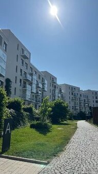 Pronájem 1+kk,P-5, Naskové