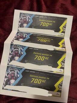 Dárkový poukaz na motokáry