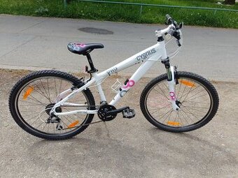 Kolo CYGNUS Dirt Pro