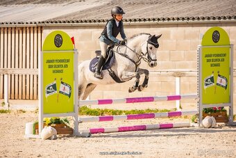 pony B rekreace sport - REZERVACE