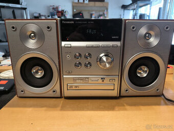 Panasonic