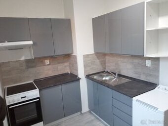 Pronajmu byt 1+1 top stavu v Dětřichově nad Bystřicí