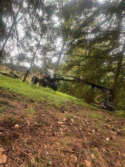 Prodej lesa / dříví / lesní služby