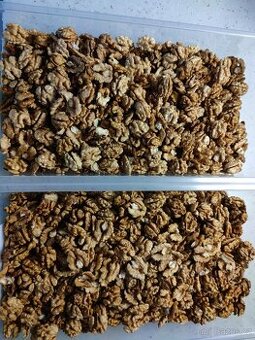 prodej vlašských ořechů