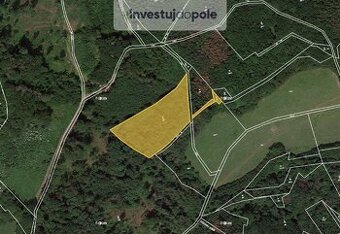 Prodej podílu 1/2 lesa 4 976 m², Úštěk - Držovice