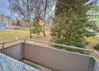 Prodej bytu 1+1 s balkonem, Týn nad Vltavou, Malá Strana