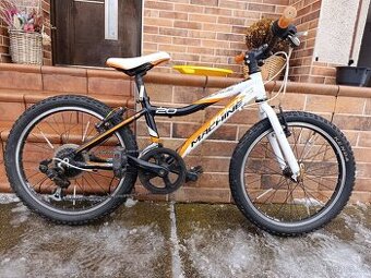 Dětské kolo rám 20