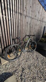 Author Spirit 29 2019