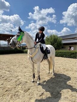 14-ročná kobyla 🦄 hľadá nový 🏡.