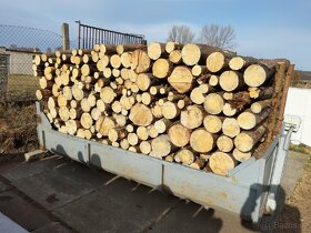 Palivové drevo převážně borovice